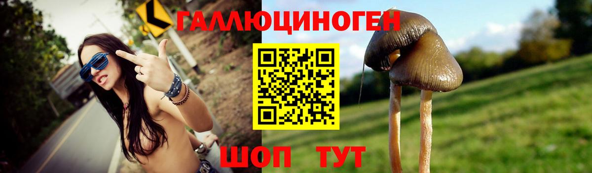 Юрга  Псилоцибиновые грибы мицелий  Галлюциногенные грибы Psilocybe  Вход с VPN 