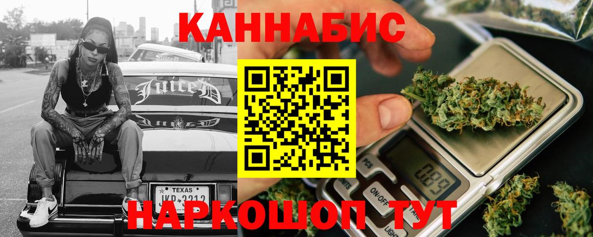 Марихуана сатива Юрга